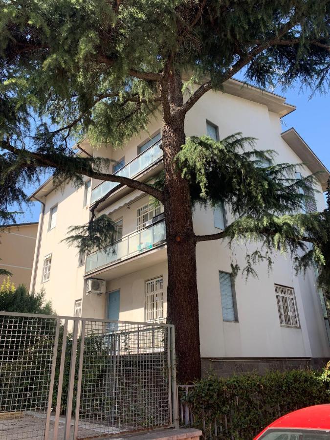 Ghisello Luxury Guesthouse 1 Bologna Ngoại thất bức ảnh